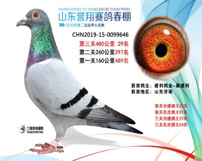 2020年誉翔29 副本