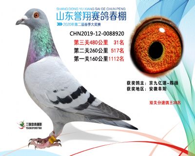 2020年誉翔31 副本
