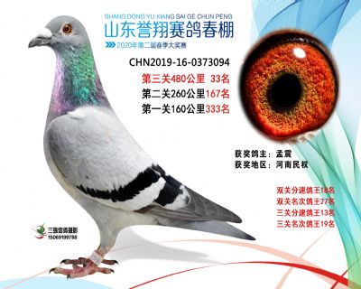 2020年誉翔33 副本
