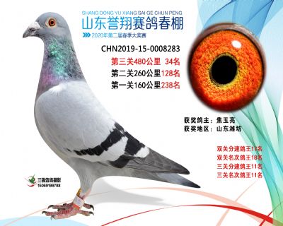 2020年誉翔34 副本