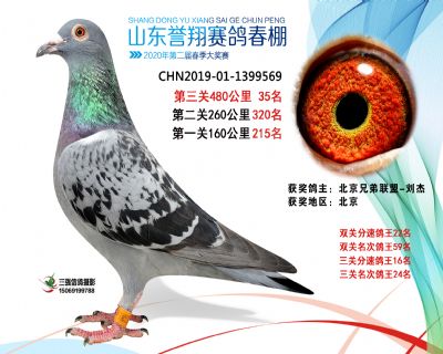 2020年誉翔35 副本