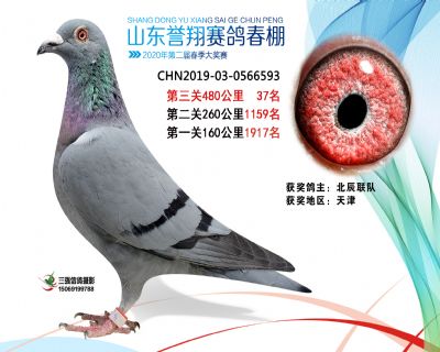 2020年誉翔37 副本