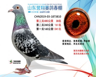 2020年誉翔38 副本