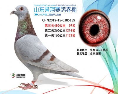 2020年誉翔39 副本