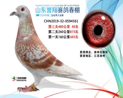 2020年誉翔40 副本