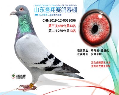 2020年誉翔43 副本