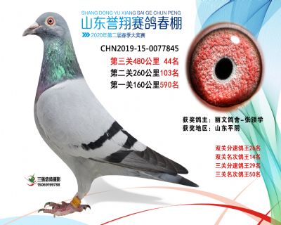 2020年誉翔44 副本