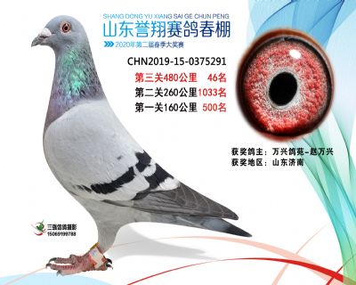 2020年誉翔46 副本