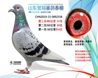 2020年誉翔47 副本