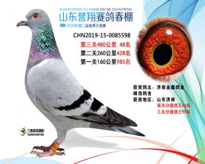 2020年誉翔48 副本