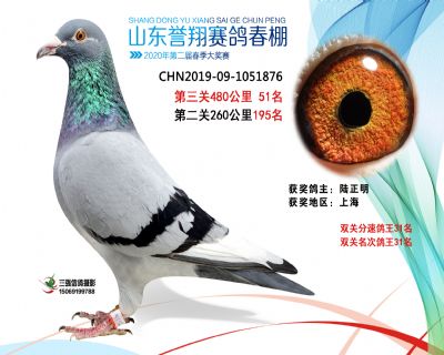 2020年誉翔51 副本