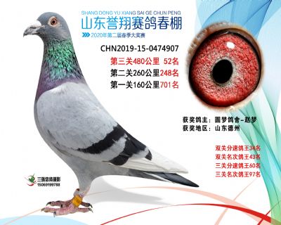 2020年誉翔52 副本