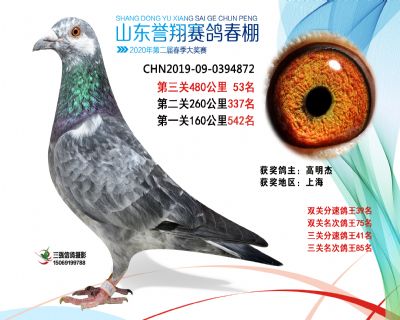 2020年誉翔53