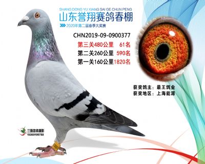 2020年誉翔61 副本