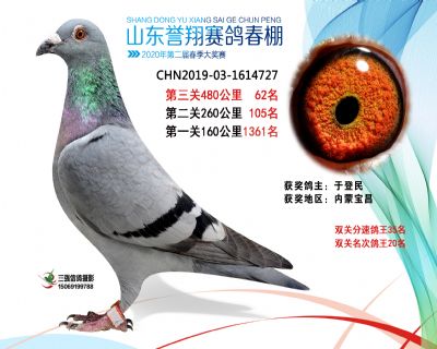 2020年誉翔62 副本