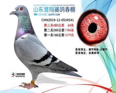 2020年誉翔64 副本