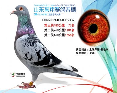 2020年誉翔70 副本