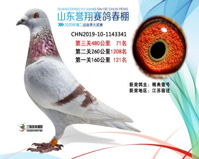 2020年誉翔71 副本
