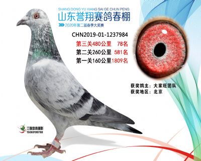 2020年誉翔78 副本