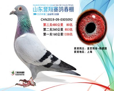 2020年誉翔80 副本