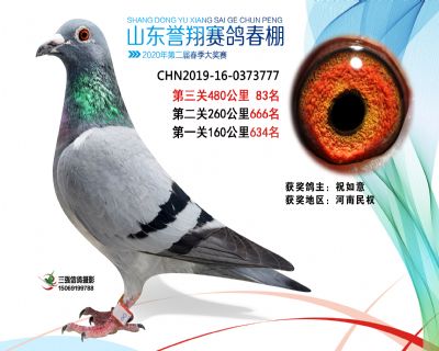 2020年誉翔83
