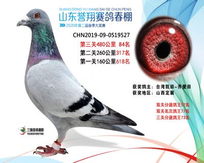 2020年誉翔84 副本