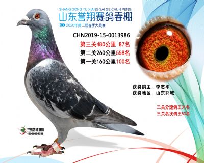 2020年誉翔87