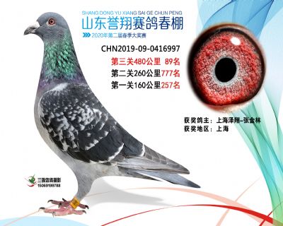 2020年誉翔89 副本