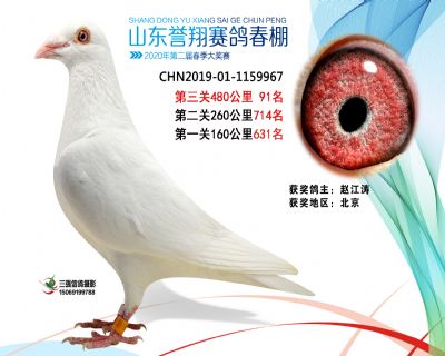 2020年誉翔91 副本