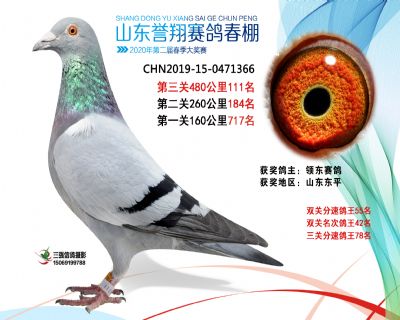 2020年誉翔111 副本