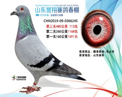 2020年誉翔113 副本