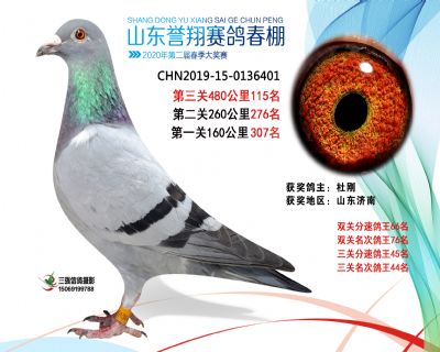 2020年誉翔115 副本