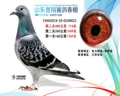 2020年誉翔116 副本