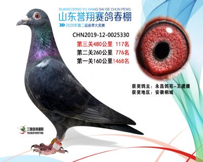 2020年誉翔117 副本