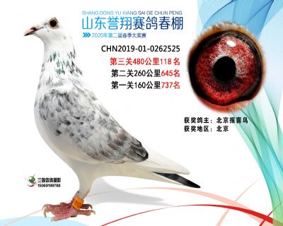 2020年誉翔118 副本
