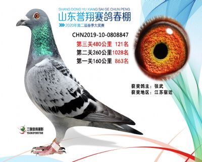 2020年誉翔121 副本
