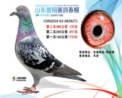2020年誉翔122 副本