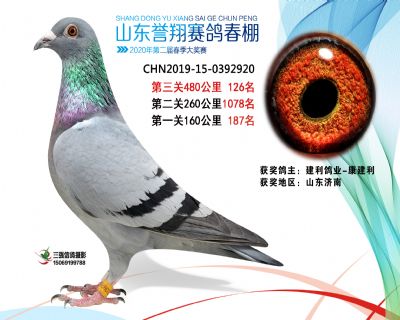 2020年誉翔126 副本