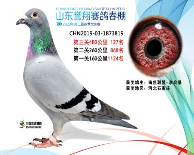 2020年誉翔127 副本