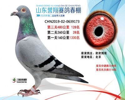 2020年誉翔128