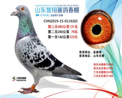 2020年誉翔131 副本