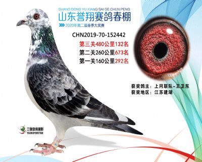 2020年誉翔132 副本