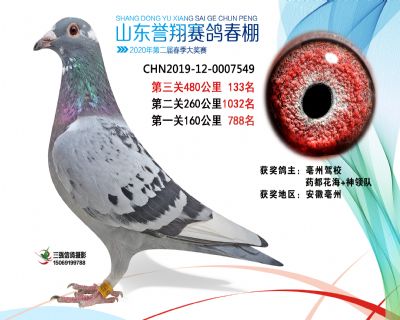2020年誉翔133 副本