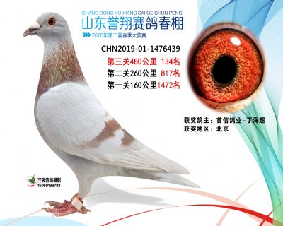 2020年誉翔134 副本