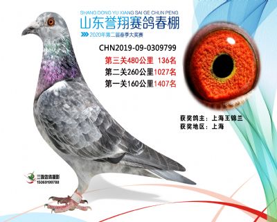 2020年誉翔136 副本