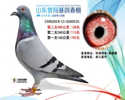 2020年誉翔138