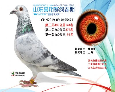 2020年誉翔144 副本