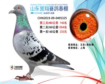 2020年誉翔145 副本