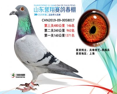2020年誉翔146 副本