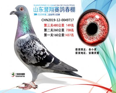 2020年誉翔149 副本